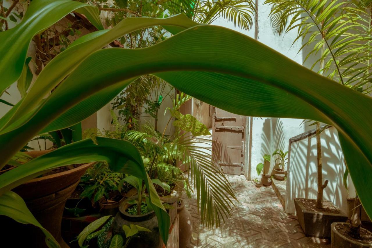 Gasthof Malindi Sansibar